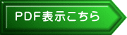 PDF表示こちら